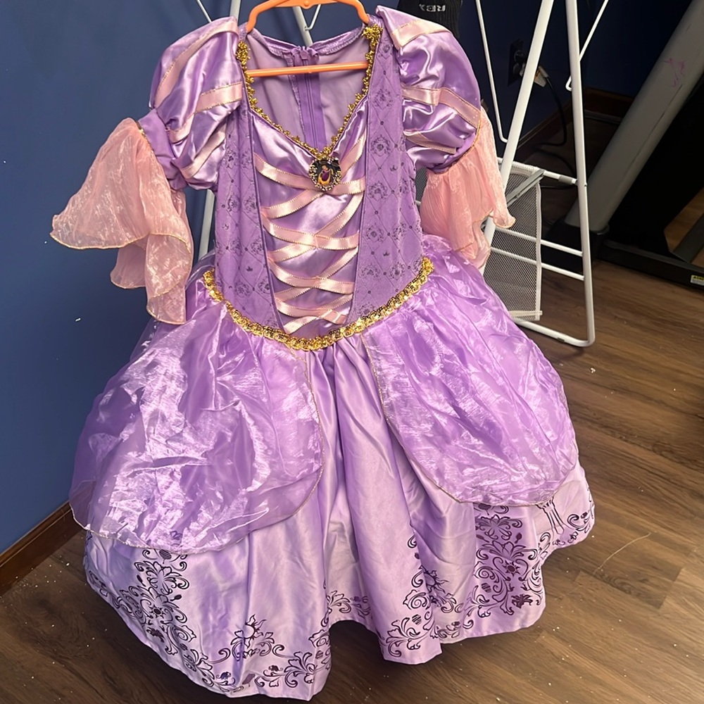 Disney Princess Ana Frozen Dress/ Ball Gown.